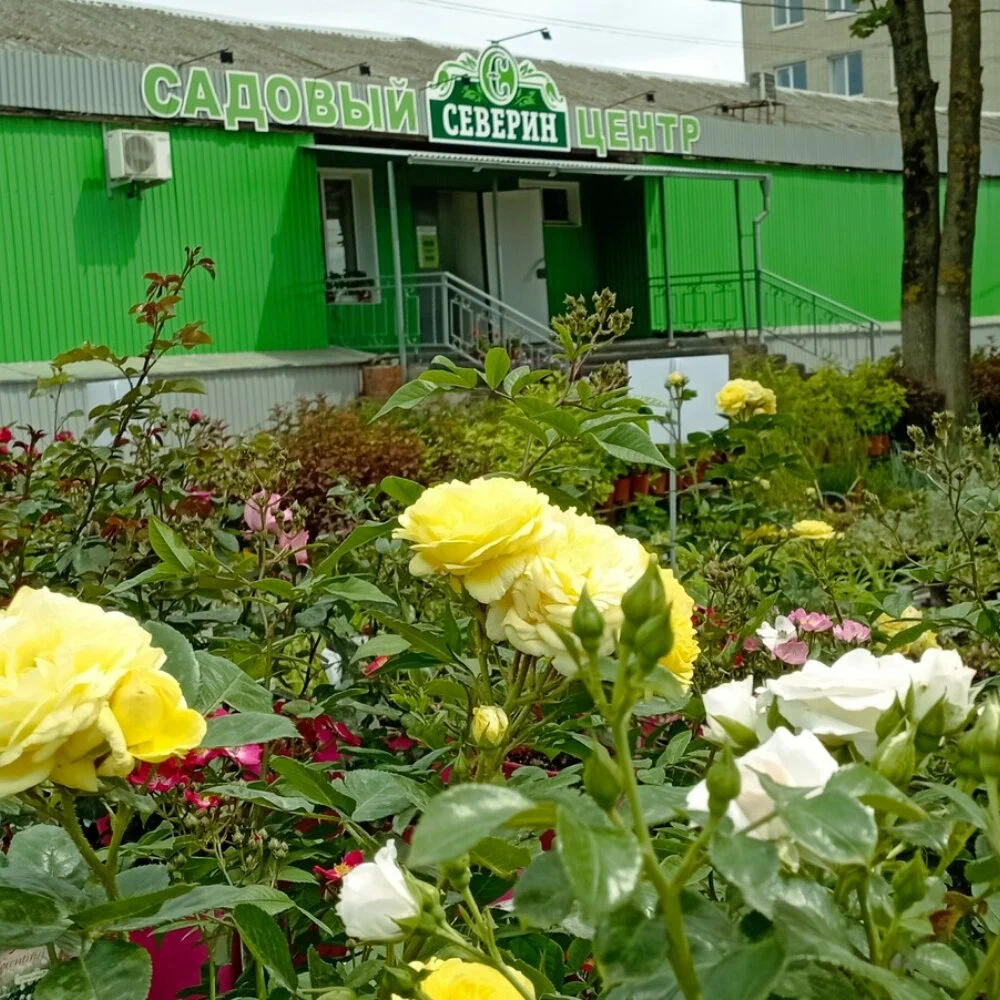 Садовый центр "Северин"