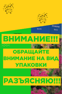 Копия Дизайн без названия - Обложка для видео Youtube (1).png