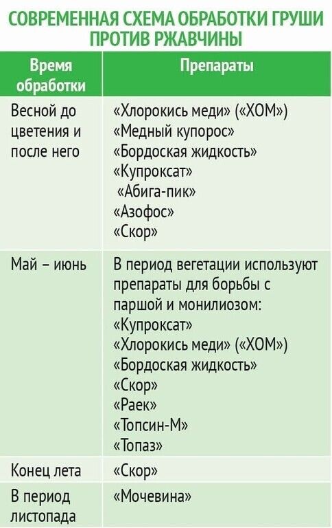 WhatsApp Image 2023-06-26 at 09.34.30.jpeg