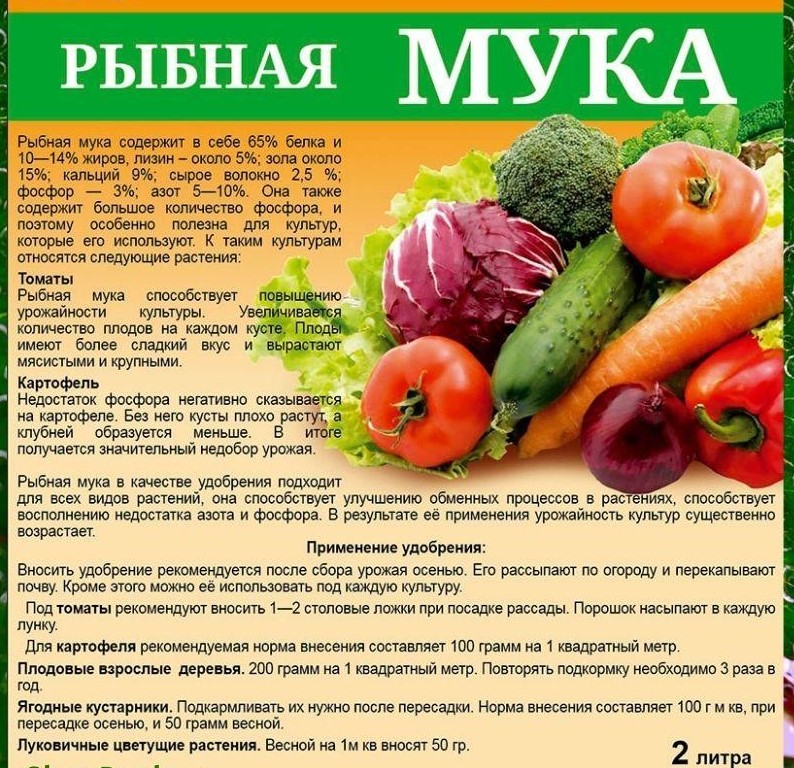 WhatsApp Image 2023-08-31 at 10.44.35.jpeg