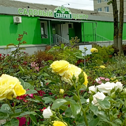 Садовый центр &quot;Северин&quot;